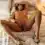 hotwifeheidinyc